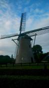Windmühle Schoorl