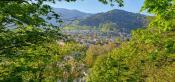 Waldkirch Ausblick