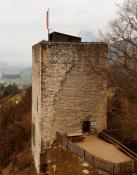 Ruine Thierberg