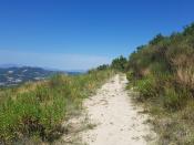 Sentiero (Trail)