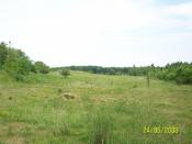 Blick über die Waldheide