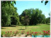 Stadtpark Lübeck