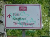 Schild