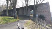 Burg Ruine Neu-Wolfstein