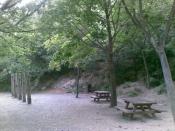 03 - Pic-nic area