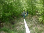 Oberfeld I - Die Schönheit des Tages - 12 m zum Ziel