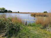 einer der vielen Angelplätze am See