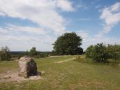 auf dem Berg