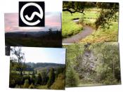 Mäanderweg 2/8 - Bergziege