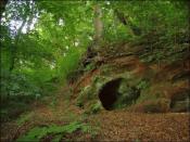 Fellenberghöhle