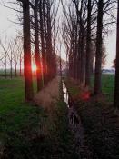 In der Nähe des Caches bei Sonnenuntergang