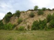 Aufschluß Krähenhütte - Mittlerer Muschelkalk