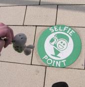Beispiel zu 2 : Selfie Point mit Landschildkroete Bodenblick