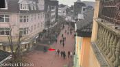 Beispiel: Webcam Hilden mit Landschildkroete