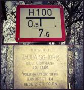 Stolperstein Schorr