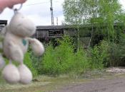 Oberhausen: Ringlokschuppen mit Landschildkroete