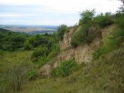 Blick vom Rand der Steinbruchs ins Ilmtal