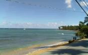 View of the Beach Punta Popi (webcam)