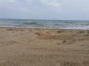 Il mare-Das Meer