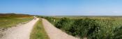 Panorama Braderuper Heide - Auf dem Weg nach Tortuga