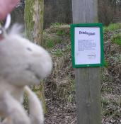 Zusätzlich: Schild mit Landschildkroete