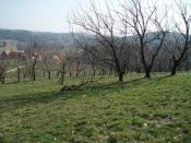 The trail passes through the orchard Auer. Der Weg führt durch den Obstgarten Auer.