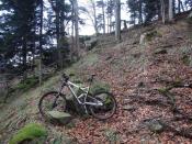 Bis hier hin geht es per bike