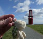 Beispiel zu 5: Grubenlampe mit Landschildkroete