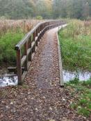 Die schöne Brücke