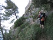 Path before Coll de Rei Morro