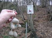 Beispiel zu 3 mit Landschildkroete (Schild auf dem Pastoratsberg in Essen)