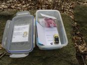 Die Büchse mit dem Inhalt.