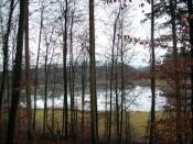 Ausblick über den Olsenweiher