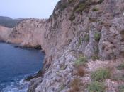rocks
