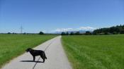 Aussicht von der Staudhausener Straße