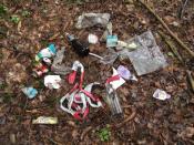 Trash bei einem Cito Event vom 17.06.2010 gefunden. Daher meine Bitte: Haltet unsere Wälder sauber! Entsorgt gefundenen Müll. Danke