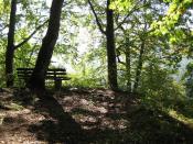 Sitzbank mit Aussicht auf dem Glatten Fels 