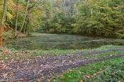 Der Teich