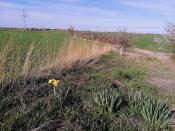 Blick vom Cache in die Landschaft
