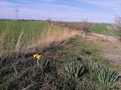 Blick vom Cache in die Landschaft