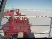 Mary Arctica (webcam)