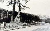 Historisches Bild vom Franziskanerfriedhof