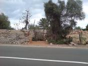 Waypoint 1