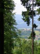 Blick zur Burgruine Neunussberg