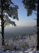 Bühlerstein