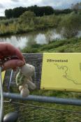 Beispiel zu 2: Landschildkroete auf der Plattform, Ausblick