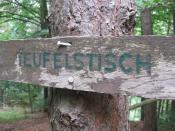 Schild