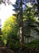 Herbstliche Stimmung am Schusterstein