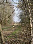 Hinter der Kurve in Richtung Röbel