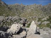 3. The right way / Der rechte Weg